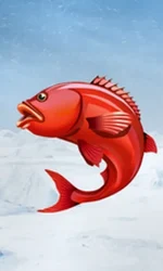 Ice Fishing